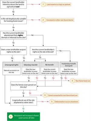 Redefining “abandoned” agricultural land in the context of reforestation